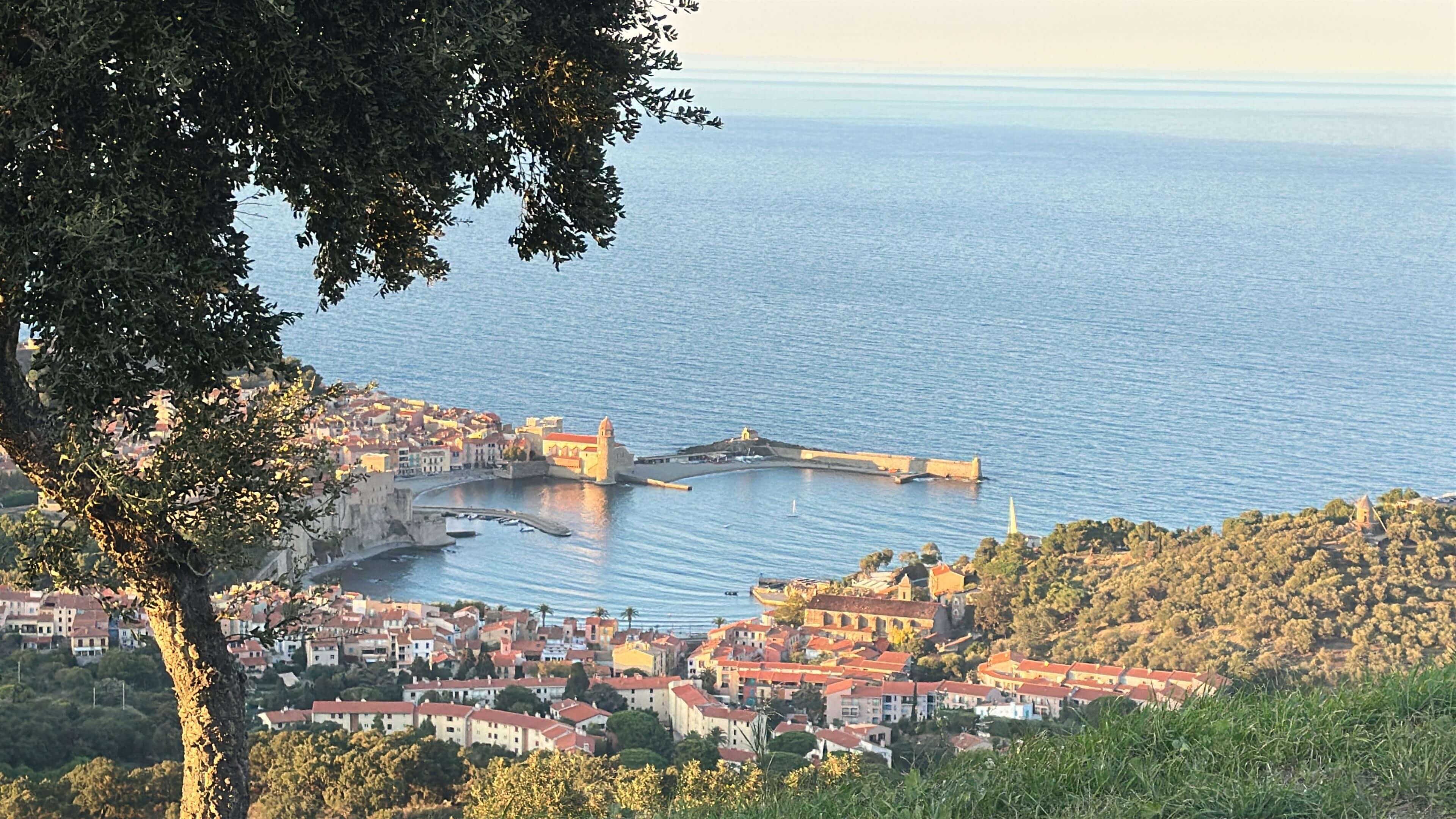 b20d62b6 0078 40d8 a631 6da272777aa3