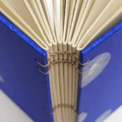 atelier reliure carnet 7 250x250